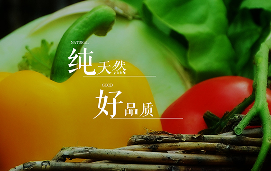 綠農(nóng)農(nóng)產(chǎn)品-合肥網(wǎng)站建設(shè)